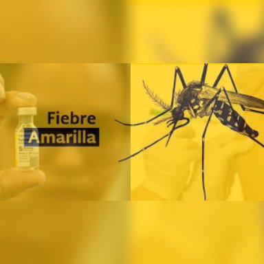 Vacunación Fiebre Amarilla